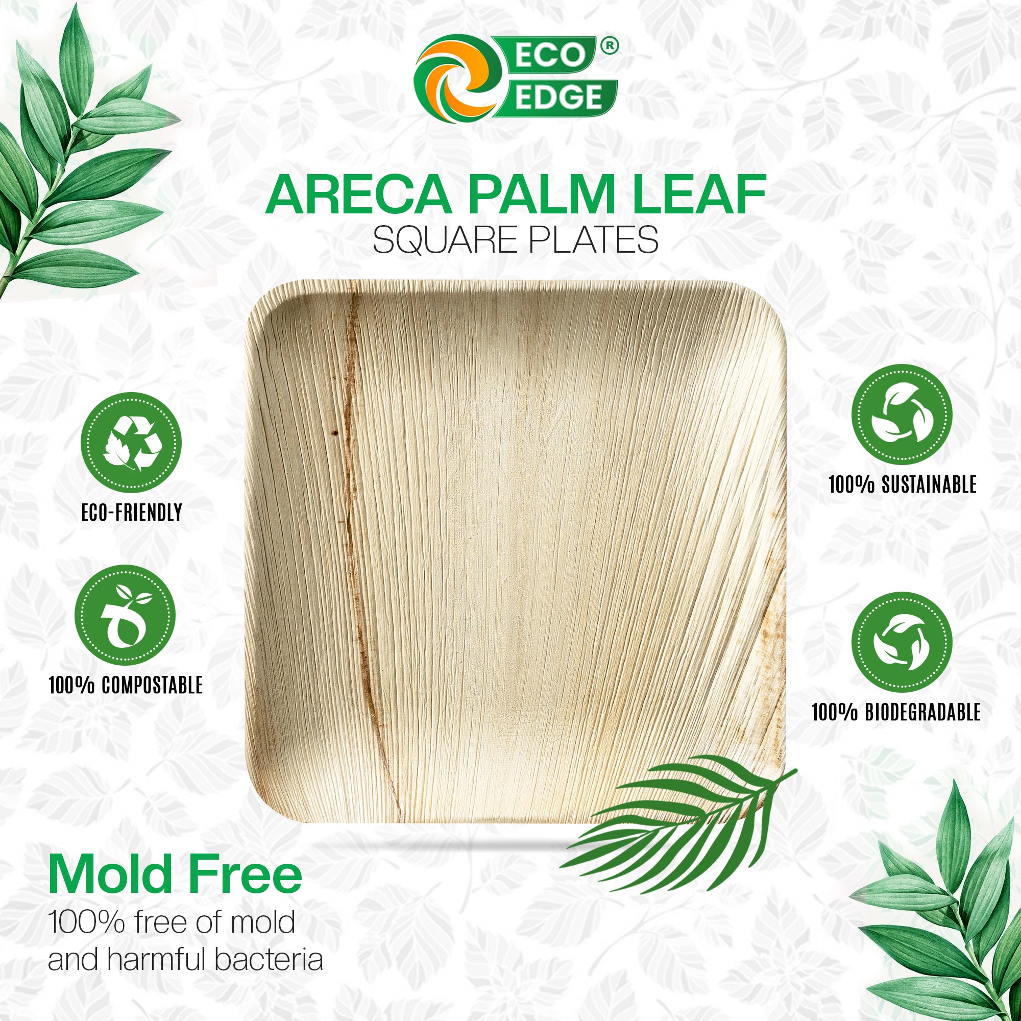 EcoEdge 6 Inch Areca Palm Leaf Square Plates | 100% Natural